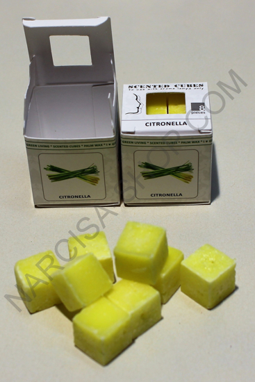CITRONELA