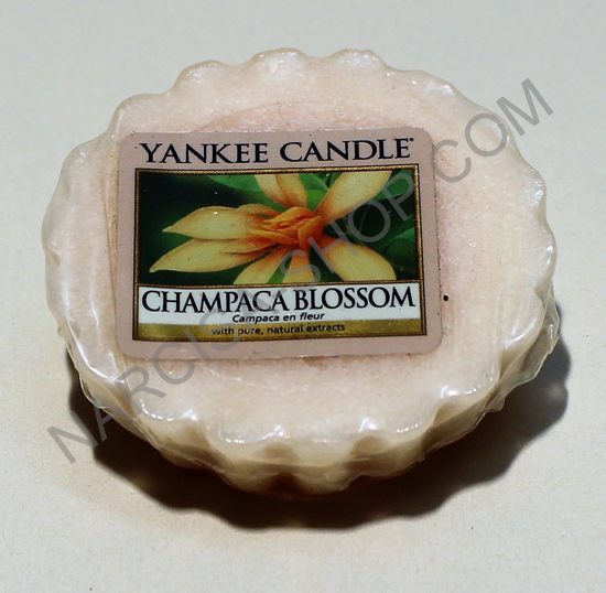 CHAMPACA BLOSSOM
