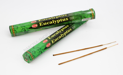 Slika EUCALYPTUS
