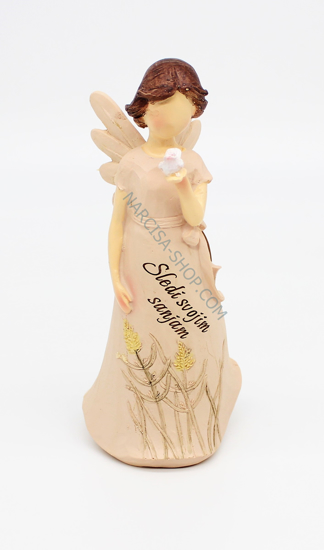 ANGEL SLEDI SVOJIM SANJAM