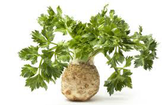 GOMOLJNA ZELENA