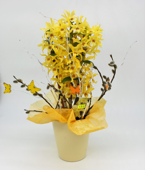 Aranžirana orhideja Dendrobium