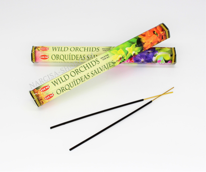 Slika WILD ORCHIDS