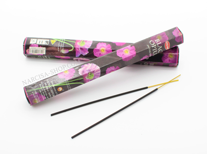 Bild von BLACK OPIUM